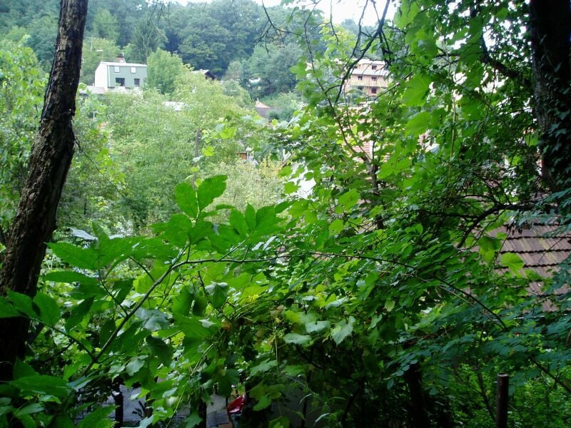 oglasnik ženidba udaja