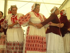 Festival folklora u Donjoj Stubici