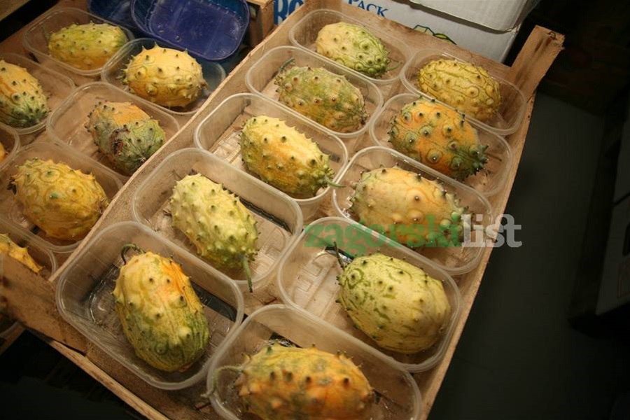 zagorje_exotik king1_10082012_19.jpg