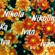 [NJIHOV JE DAN] Znate li što znače imena Nikola, Nikolina, Ivan i Ivana?
