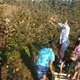 Pregradski osnovnoškolci obilježili Dan jabuka te razveselili štićenike Obiteljskog doma Golubić