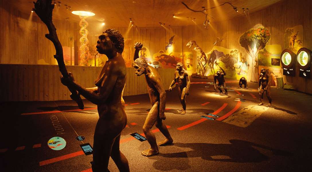 muzej krapinskih neandertalaca.jpg
