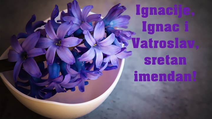 -Ignac, Vatroslav