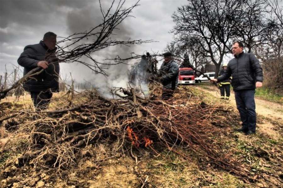 Spaljivanje trsova u Brezničkom Humu , foto: www.varazdinske -vijesti.hr