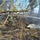 Požar suhe trave proširio se u šumu, vatrogasci spriječili veću štetu