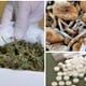 UHIĆEN MLADI ZAGOREC: Proizvodio i dilao marihuanu, psihodelične gljive i ecstasy