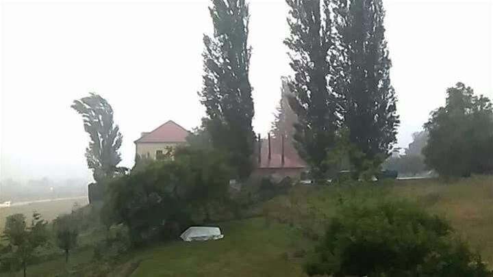 Vjetar srušio jablan kod Dvorca Gjalski u Gredicama u Zaboku