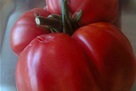 paradajz2.jpg
