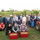  Berba autohtonih sorti vinove loze u Trgocentrovom vinogradu: Godina je bila teška, ali je urod odličan