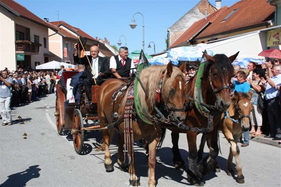 Ove se godine održava 14. vozočašće konjskih zaprega, konja i jahača