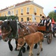 Jubilarno 15. vozočašće u Mariju Bistricu