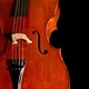 Koncert violončelistice Monike Leskovar