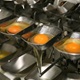  Gotovo pola milijuna kuna za opremanje objekta za preradu jaja u Zlatar Bistrici