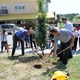 U Radoboju sadnjom 28 stabala obilježen ulazak Hrvatske u EU
