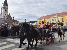 20. Vozočašće konjskih zaprega i jahača u Mariju Bistricu