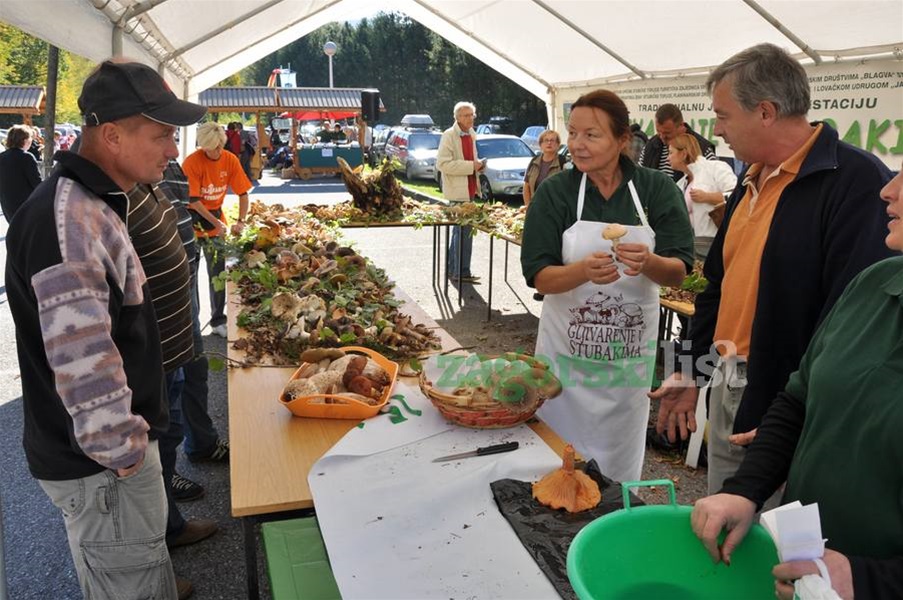 zagorje_gljivarijada_stubakima_manifestacija_branje_gljive_pila_drustvo_maglen_20102012_08.jpg