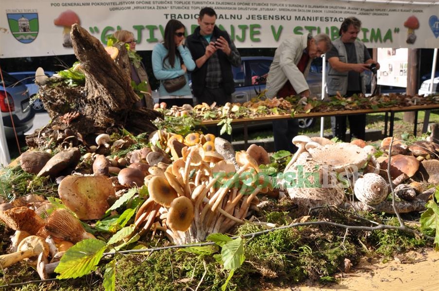 zagorje_gljivarijada_stubakima_manifestacija_branje_gljive_pila_drustvo_maglen_20102012_09.jpg