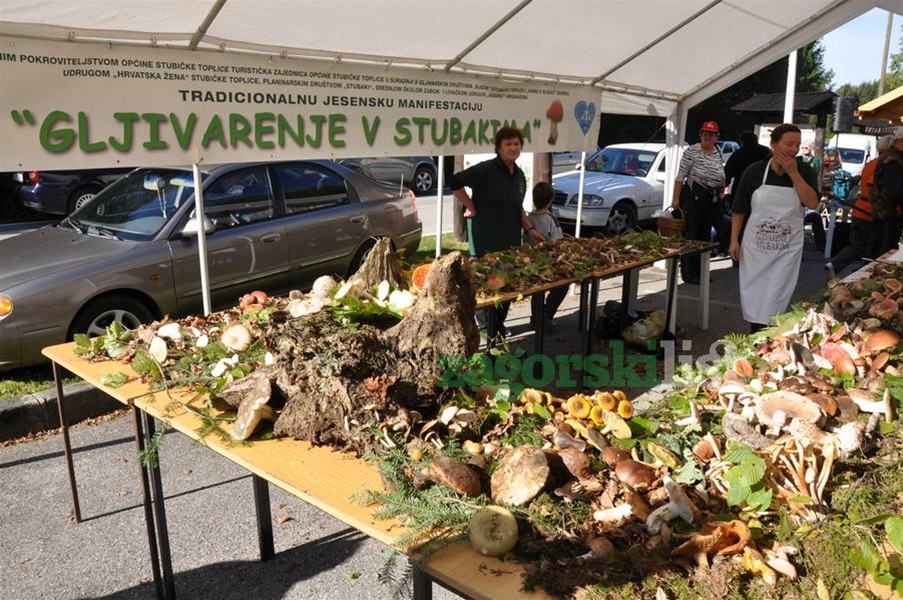 zagorje_gljivarijada_stubakima_manifestacija_branje_gljive_pila_drustvo_maglen_20102012_03.jpg