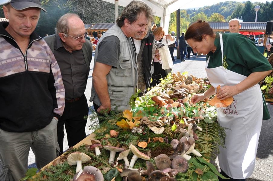 zagorje_gljivarijada_stubakima_manifestacija_branje_gljive_pila_drustvo_maglen_20102012_04.jpg