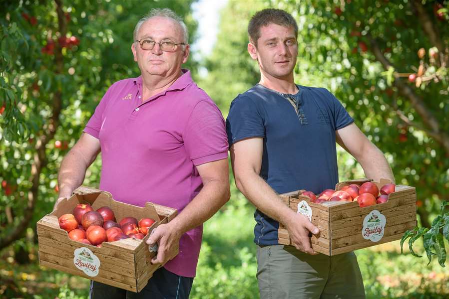 Lidlovi domaci dobavljaci_Miks Agro Kovacevic.jpg