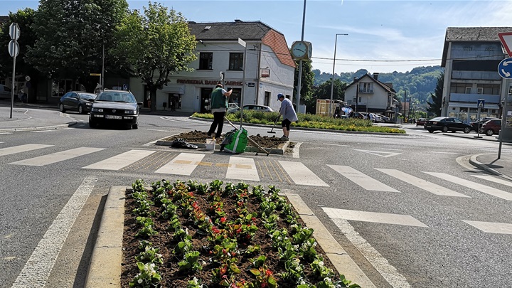 sadnja cvijeća