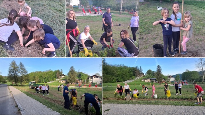 BeFunky-collage (27).jpg