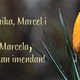 [NJIHOV JE DAN] Monika, Marcel i Marcela slave imendan!