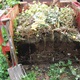 EKO FLOR KUTAK: Prirodno recikliranje - kompostiranje (II. dio)