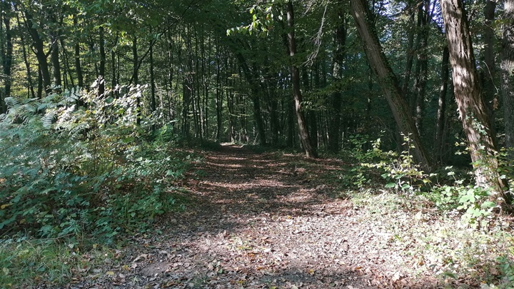 prognoza jesen sunce (4).jpg