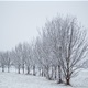 PROGNOZA VREMENA: Kristijan Božarov donosi do kad će padati snijeg