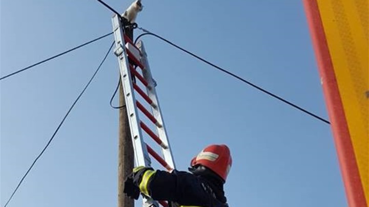 mačak donja stubica 1.jpg