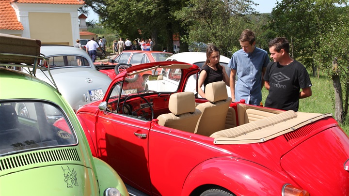 glavna bube belec.JPG