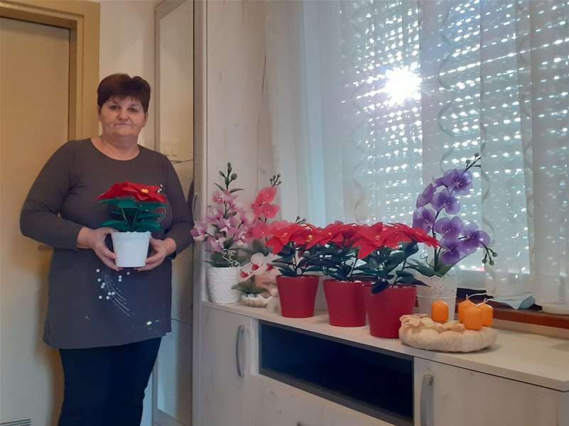 božićne zvijezde1.jpg