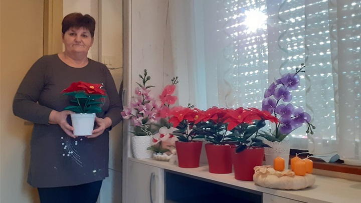 božićne zvijezde1.jpg