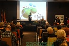 jelena lež za web06.jpg
