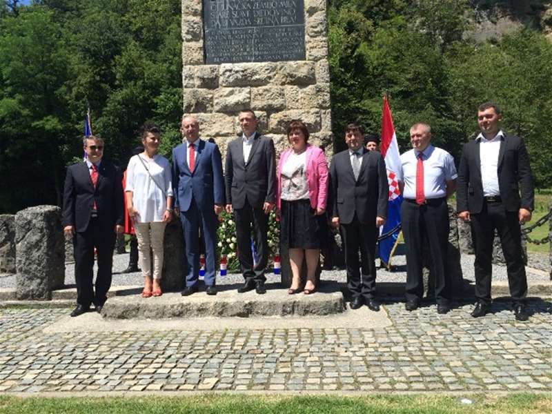 penava u zelenjaku.JPG