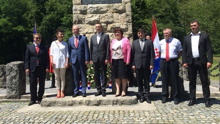 penava u zelenjaku.JPG