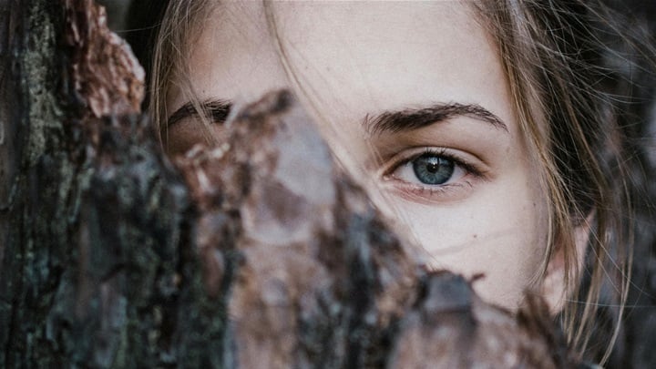 pexels-elizaveta-dushechkina-2099536-3727149.jpg