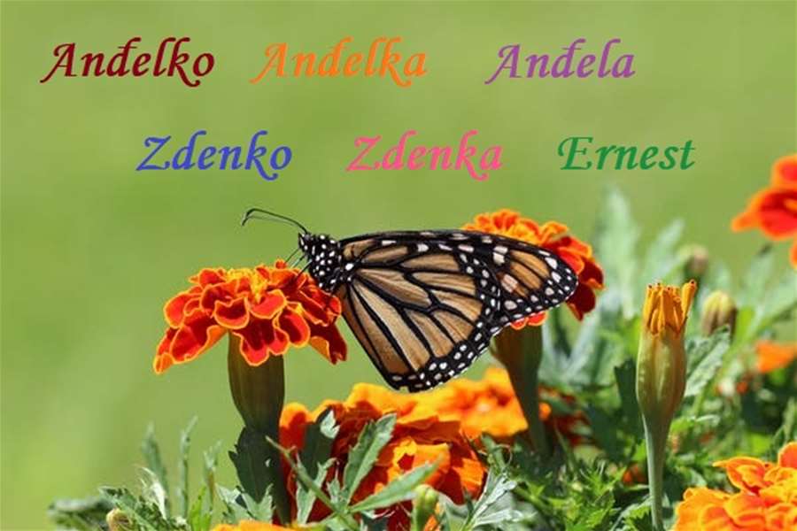 imendan5 pravi.jpg