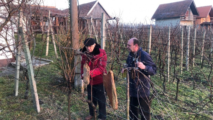 pregrada vincekovo glavna.jpg