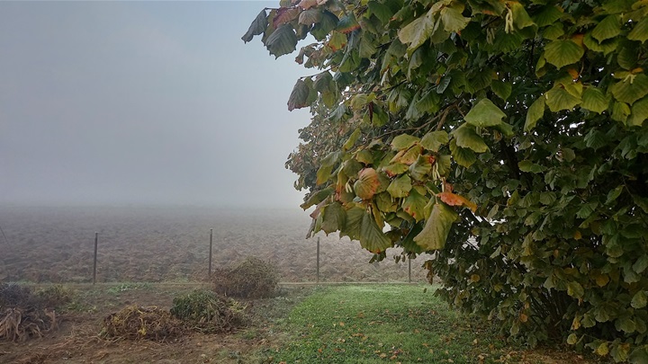 prognoza jesen magla