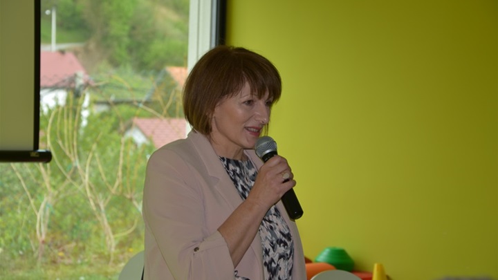 stručni skup krapinske toplice 4.JPG