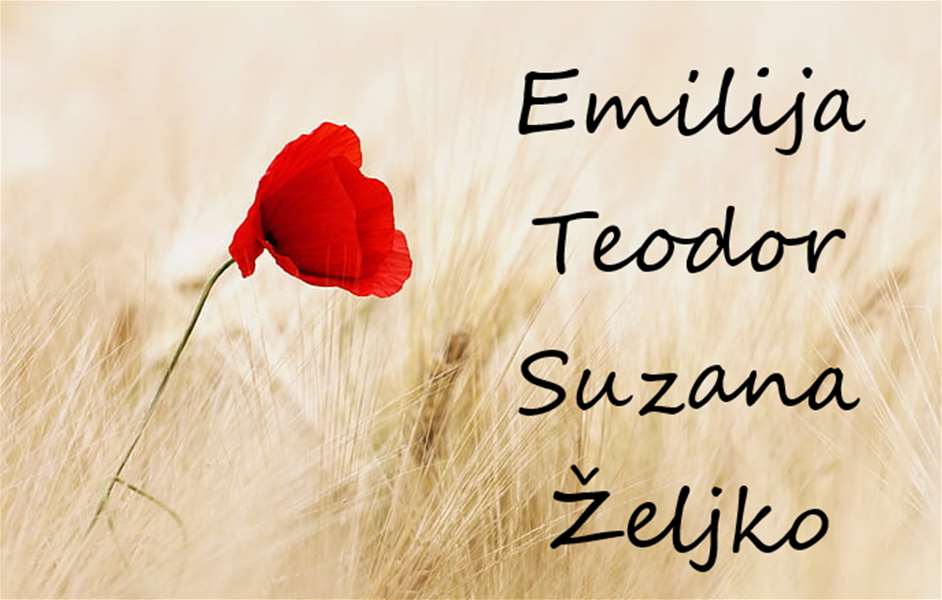 imendan emilija i ostali.png