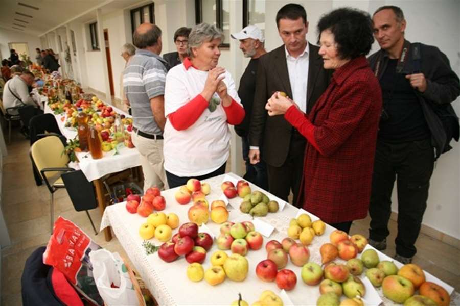 zagorje trnac.jpg