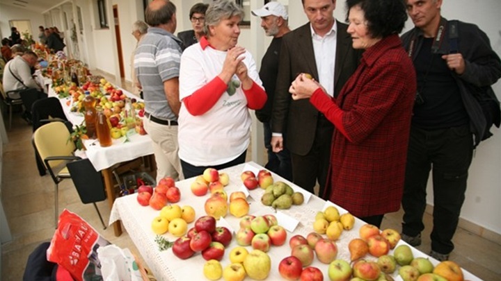 zagorje trnac.jpg