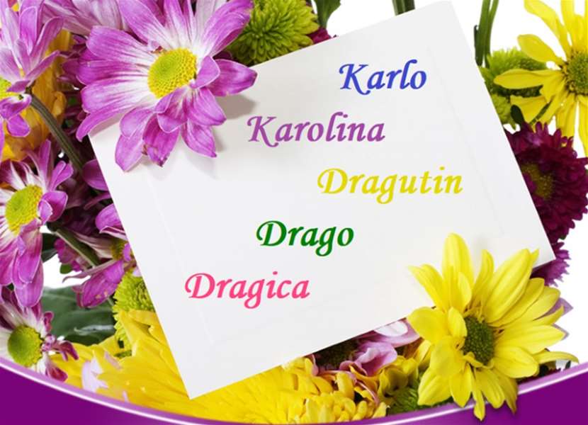 imendan karlo drago.png