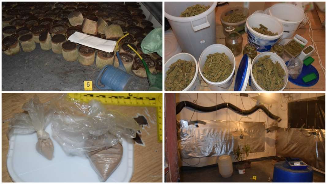 FotoJet - 2023-10-22T000107.203.jpg