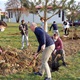 Zasadi stablo, ne budi panj": Posađeno 15 stabala oko OŠ Janka Leskovara