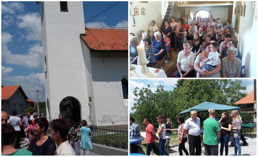 kolaž šagudovec.jpg