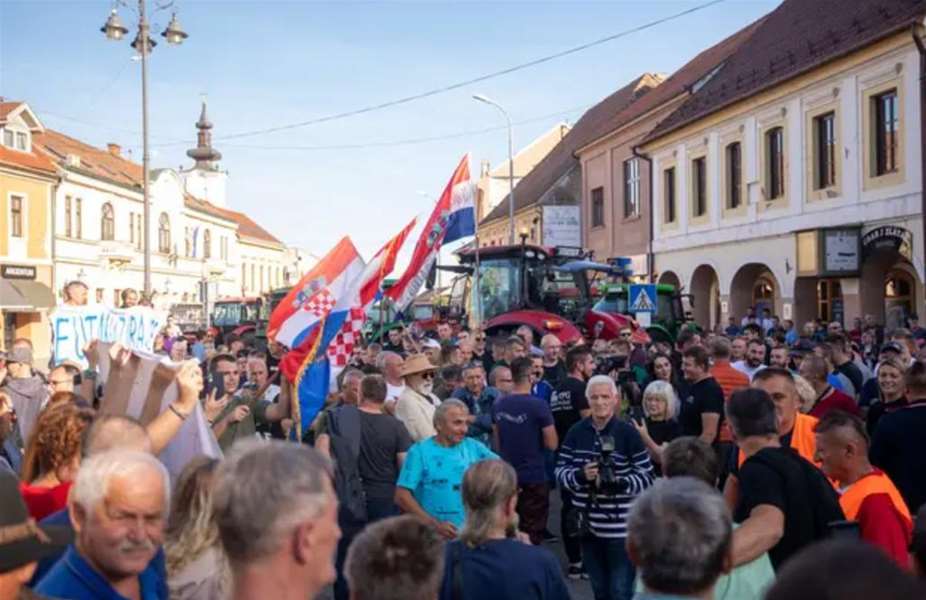 WhatsApp Image 2023-10-29 at 16.56.51 (1).jpeg